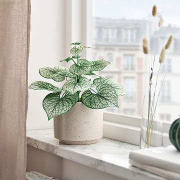 ІКЕА Штучна рослина в горщику SMÅTÄRNA, 906.307.40 - Home Club