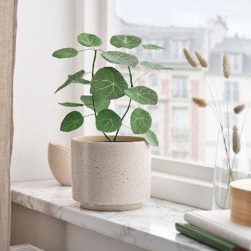 ІКЕА Штучна рослина в горщику SMÅTÄRNA, 606.307.27 - Home Club