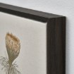 ІКЕА Картина BLODFLÄDER, 006.234.71 - Home Club, зображення 2