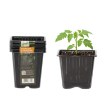 Garden Line Набор из 9 пластиковых горшков размером 9 x 9 x 10 см., EDA3296 - Home Club, изображение 6
