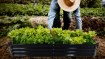 Garden Line Грядка для овощей и цветов 240 × 120 × 30 см, прямоугольная, антрацитовая, ZAK8427 - Home Club, изображение 6