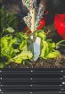 Garden Line Грядка для овощей и цветов 240 × 120 × 30 см, прямоугольная, антрацитовая, ZAK8427 - Home Club, изображение 7