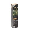 Garden Line Солярна Лампа H 43 Cm 3 Гриби 15 Led Тепло-Білий, SOL6100 - Home Club