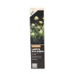 Garden Line Солярна Лампа H 43 Cm 3 Гриби 15 Led Тепло-Білий, SOL6100 - Home Club, зображення 2