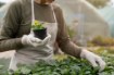 Garden Line 100 Штук Горшков Для Растений 6 x 5,8 См, JAW9430 - Home Club, изображение 17
