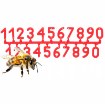 Chomik Номера на ульях, BEE3943 - Home Club, изображение 2
