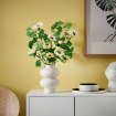 ИКЕА Искусственный цветок GULDSPETT, 506.303.27 - Home Club, изображение 2