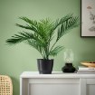 ИКЕА Горшок BROKTRAST, 106.364.11 - Home Club, изображение 2