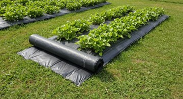Garden Line Агротканина Для Мульчування, Протибур’янна, З Уф-Захистом, Чорна, 1,1 × 50 М, 90 г/м², AGO6391 - Home Club