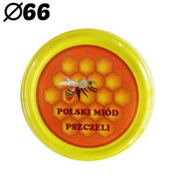Chomik Wieczka fi66 Rts Польский Майский Мед, коробка 1100 / № 4462, 1000P66P8 - Home Club