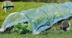 Garden Line Міні-Теплиця Для Саду, Розміри Плівки 1,5 × 4 М, EVA5721 - Home Club, зображення 3
