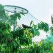 Garden Line Захисна Сітка Від Птахів 8x8 м (30 г/м²) + 6 Пластикових Штифтів, JAW9837 - Home Club, зображення 9