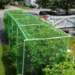 Garden Line Захисна Сітка Від Птахів 8x8 м (30 г/м²) + 6 Пластикових Штифтів, JAW9837 - Home Club, зображення 11