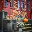 ИКЕА Искусственное растение в горшке FEJKA ФЕЙКА, 306.312.38 - Home Club, изображение 4