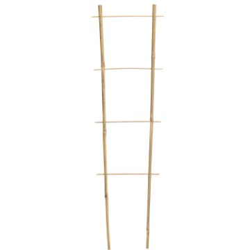 Garden Line Бамбуковая Лестница 150 См x 10/28 См x 10/12 Мм, BAM1671 - Home Club