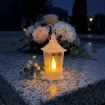 Chomik Светильник Led Mini 3,5 x 9,5 см, прозрачный, LED1637 - Home Club, изображение 7