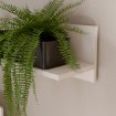 Forte Полиця 140 см Archbox Пісочний, VTUB01-U60 - Home Club, зображення 8