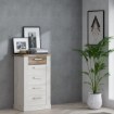 Forte Комод 62 см Duro «Біла сосна»/«Античний дуб», DURK411-T75 - Home Club