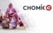 Chomik Искусственный цветок - розовый орхидея 35 см, HID4788 - Home Club, изображение 6
