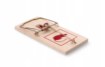 Garden Line Мишельна Пастка / Щурів Дерево 17,5 x 8 См, SET3538 - Home Club, зображення 4