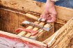 Chomik Вилка для снятия меда 20,4 x 7 см с пластиковой ручкой, BEE5733 - Home Club, изображение 5