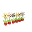 Garden Line Ветряная мельница с божьей коровкой, 9 x 15 см, набор из 3 цветов, AKI0384 - Home Club, изображение 6