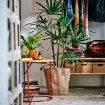 ИКЕА Горшок KOMPISHÄNG, 906.288.22 - Home Club, изображение 2