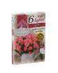 Chomik Подогреватель A'6 С Комбинированным Ароматом, KOZ0067 - Home Club, изображение 8