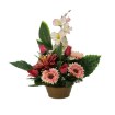 Chomik Букет № 1 (длина 50 см, ширина 30 см, высота 45 см), LAC9258 - Home Club, изображение 4