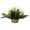 Chomik Букет № 2 (ширина 70 см, высота 36 см), LAC2915 - Home Club, изображение 5