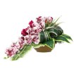 Chomik Букет № 1 (ширина 50 см, высота 35 см), LAC2854 - Home Club, изображение 4