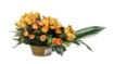 Chomik Букет № 14 (ширина 42 см, высота 32 см), LAC2809 - Home Club, изображение 9