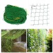 Garden Line Сетка для вьющихся растений 0,9 x 1,8 м, JAW9324 - Home Club, изображение 6