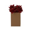 Chomik Штучна гілочка — «Бетлеємська зірка», 5 квіток, 33 см, різнокольорова, HIN4605 - Home Club, зображення 12