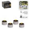 Chomik Набор из 4 солнечных свечей-теплиц размером 4 x 2,5 см/5 см., LED9445 - Home Club, изображение 4