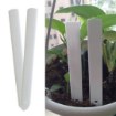 Garden Line Кпл. 20 Етикеток Для Рослин 13 x 1,6 См, EVA8181 - Home Club