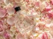 Chomik Бутылка «Сердце» объемом 250 мл с металлической крышкой диаметром 28 мм, SIN3707 - Home Club, изображение 4