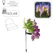 Chomik Солнечная лампа H 70 см Wisteria 40 Led теплый белый, SOL4705 - Home Club, изображение 2