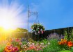 Garden Line Стійка для рослин 122 см, різні візерунки, чорна, PERG-N5523 - Home Club, зображення 11