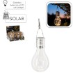 Garden Line Солнечная Лампа Лампочка 7,5 x 7,5 x 22 См, SOL0050 - Home Club