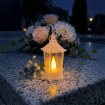 Chomik Светильник Led Mini 3,5 x 9,5 см, прозрачный, LED1637 - Home Club, изображение 7