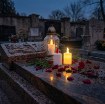 Chomik Светодиодные вставки 5 x 10,5 см, смешанные цвета, LED4263 - Home Club, изображение 9