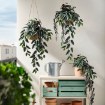 ИКЕА Искусственное растение в горшке FEJKA ФЕЙКА, 306.376.31 - Home Club, изображение 4