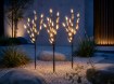 Garden Line Сонячна Лампа H 60 См 3 Гілки 60 Led Тепло-Білий, SOL6094 - Home Club, Зображення 6