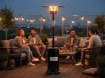 Garden Line Порошковый газовый зонт 221 см, GAZ6356 - Home Club, изображение 20