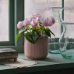 ИКЕА Искусственное растение в горшке FEJKA ФЕЙКА, 306.373.20 - Home Club, изображение 3