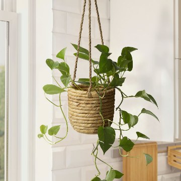 ИКЕА Подвесной цветочный горшок SANDÖDLA, 906.360.73 - Home Club