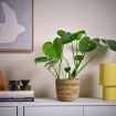 ИКЕА Горшок SANDÖDLA, 306.301.68 - Home Club, изображение 2
