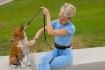 Chomik Сумка / поясная сумка с эластичным ремешком, PET9769 - Home Club, изображение 6