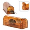 Chomik Мишельна Пастка / Щуряча Пастка – Жива Пастка 17 x 6,2 x 6,4 См, SET4330 - Home Club, зображення 6
